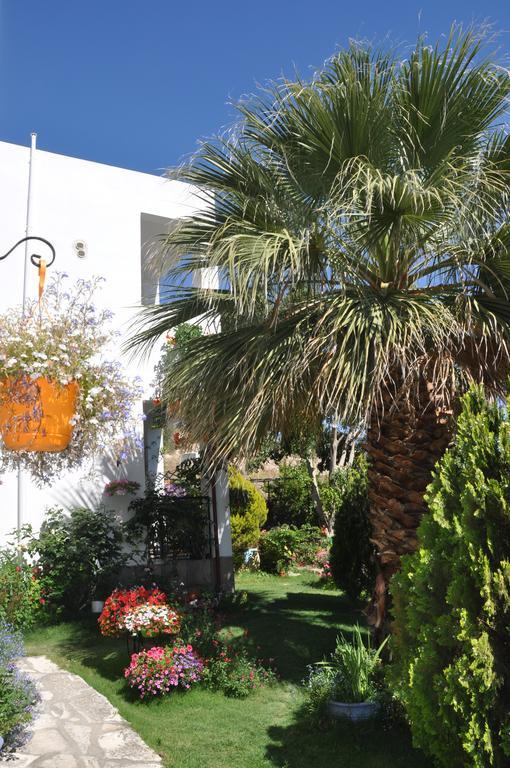 Korfes Apartments كاميلاريون المظهر الخارجي الصورة
